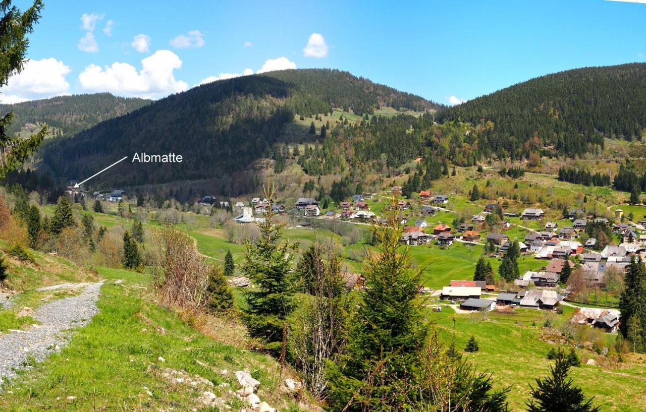 C2 Albmatte-Fewo , Hallenbad Aussenbecken Massagen Nebenan Sankt Blasien Exteriör bild