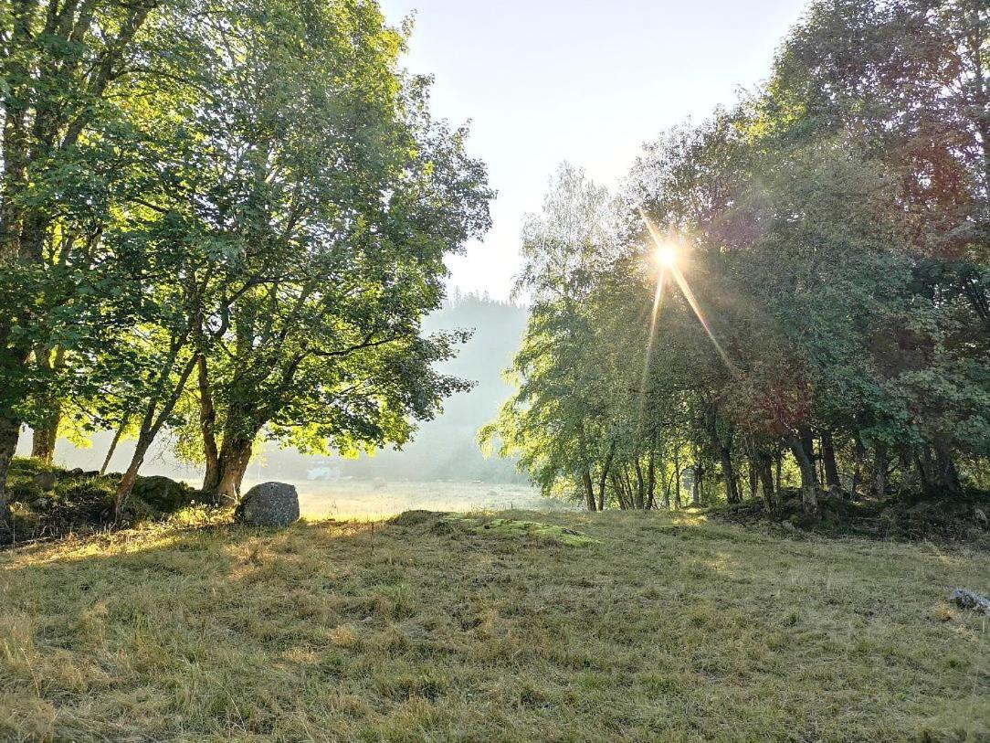 C2 Albmatte-Fewo , Hallenbad Aussenbecken Massagen Nebenan Sankt Blasien Exteriör bild