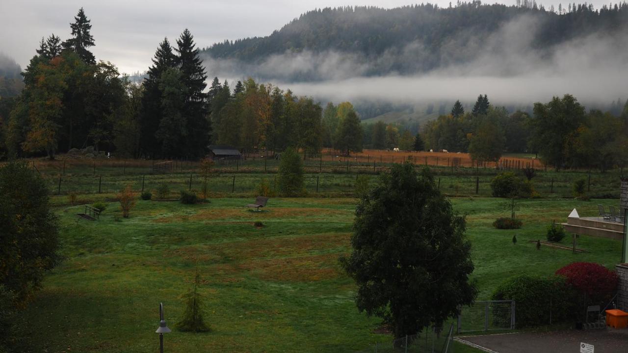 C2 Albmatte-Fewo , Hallenbad Aussenbecken Massagen Nebenan Sankt Blasien Exteriör bild