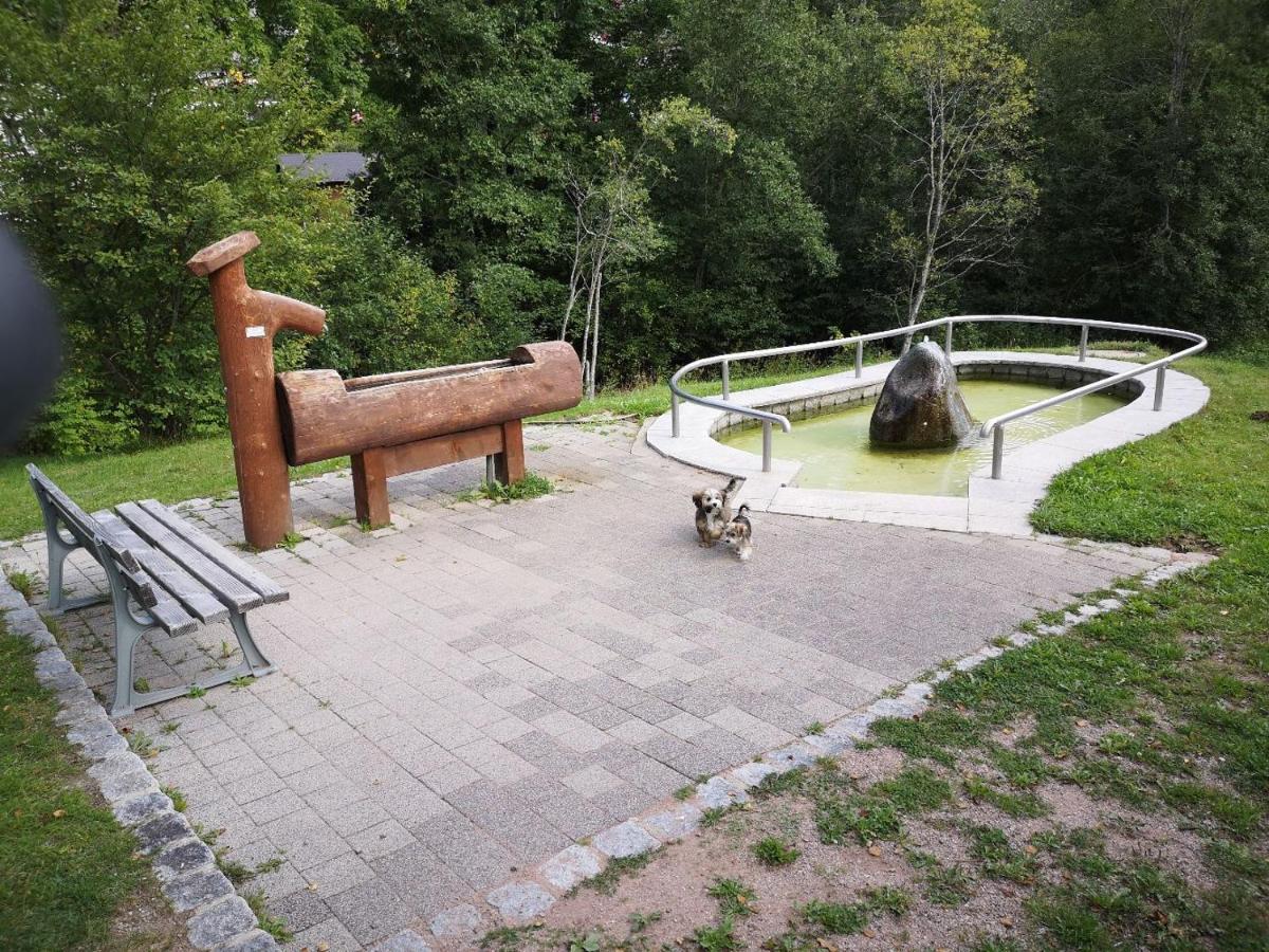 C2 Albmatte-Fewo , Hallenbad Aussenbecken Massagen Nebenan Sankt Blasien Exteriör bild
