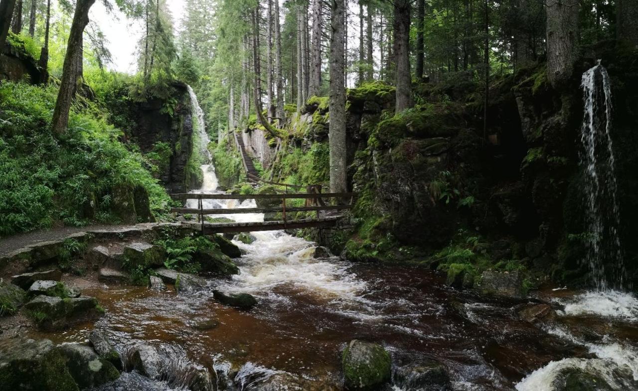 C2 Albmatte-Fewo , Hallenbad Aussenbecken Massagen Nebenan Sankt Blasien Exteriör bild