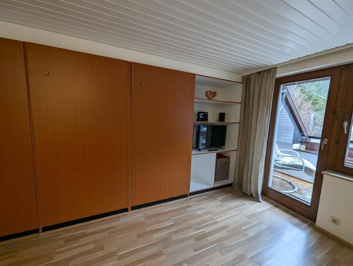 C2 Albmatte-Fewo , Hallenbad Aussenbecken Massagen Nebenan Sankt Blasien Exteriör bild