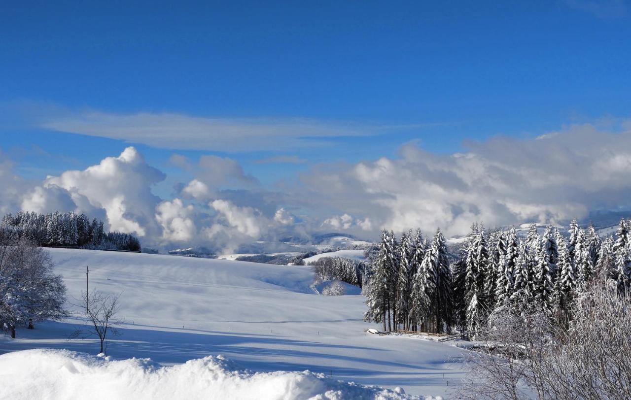 C2 Albmatte-Fewo , Hallenbad Aussenbecken Massagen Nebenan Sankt Blasien Exteriör bild