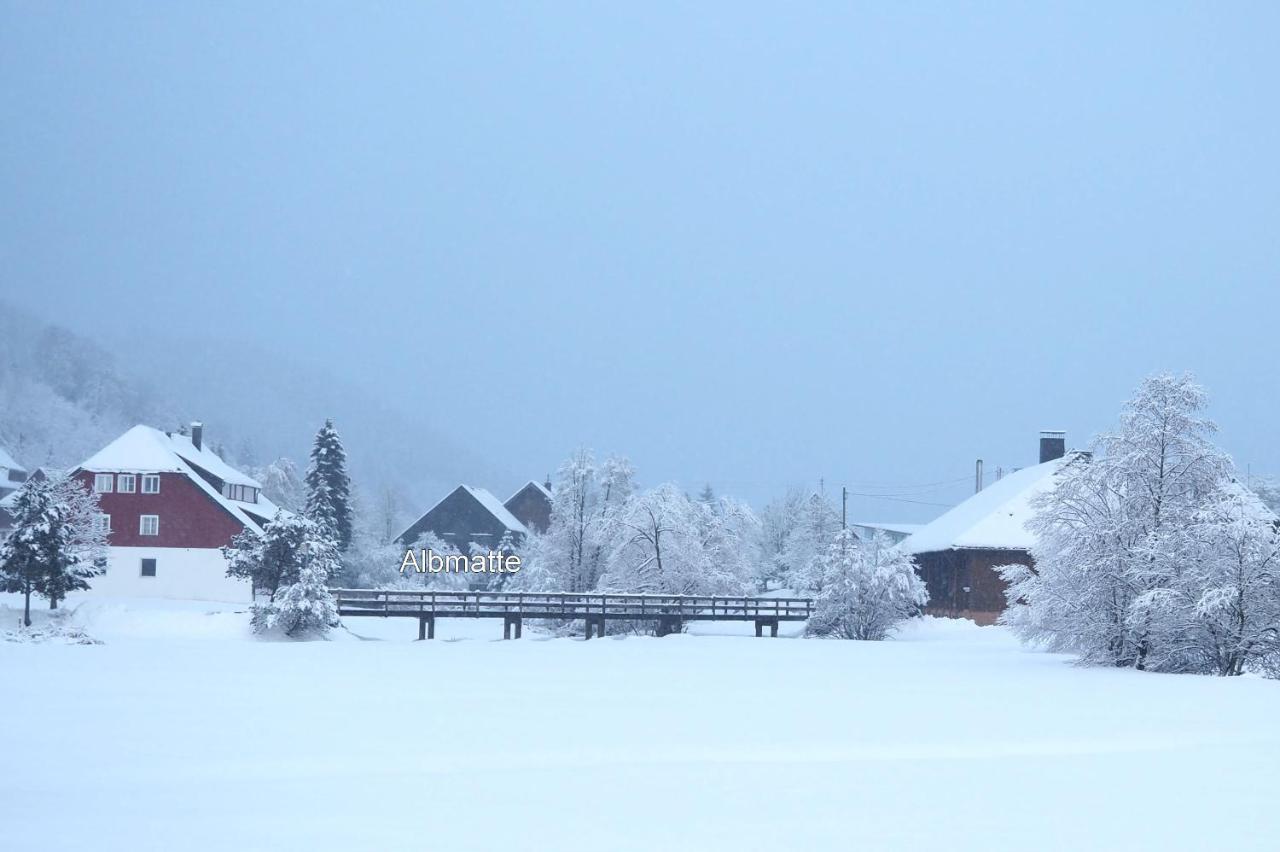 C2 Albmatte-Fewo , Hallenbad Aussenbecken Massagen Nebenan Sankt Blasien Exteriör bild