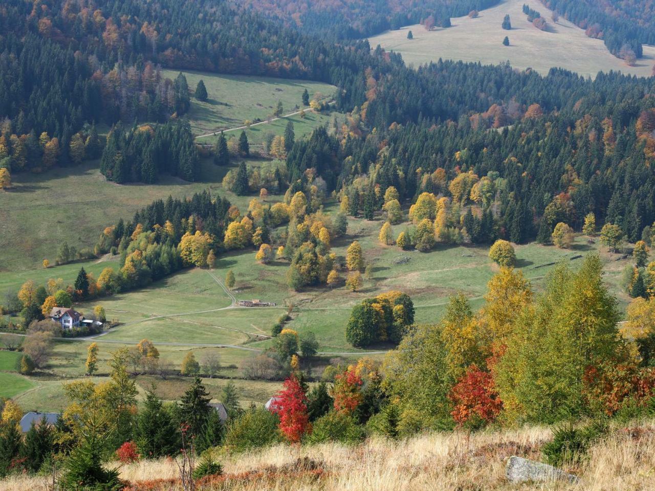 C2 Albmatte-Fewo , Hallenbad Aussenbecken Massagen Nebenan Sankt Blasien Exteriör bild
