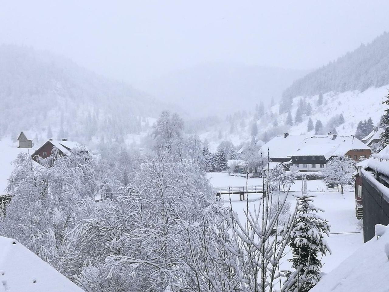 C2 Albmatte-Fewo , Hallenbad Aussenbecken Massagen Nebenan Sankt Blasien Exteriör bild