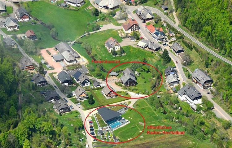 C2 Albmatte-Fewo , Hallenbad Aussenbecken Massagen Nebenan Sankt Blasien Exteriör bild