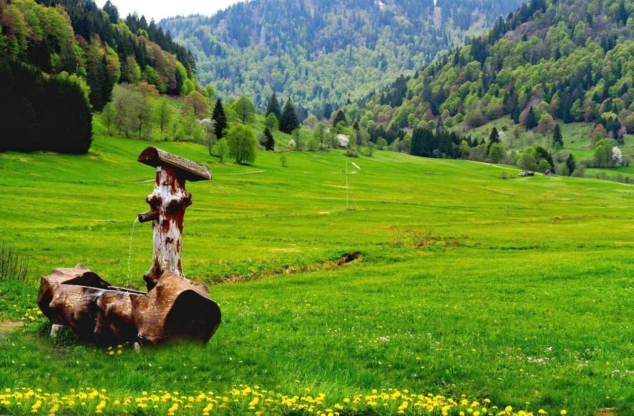 C2 Albmatte-Fewo , Hallenbad Aussenbecken Massagen Nebenan Sankt Blasien Exteriör bild