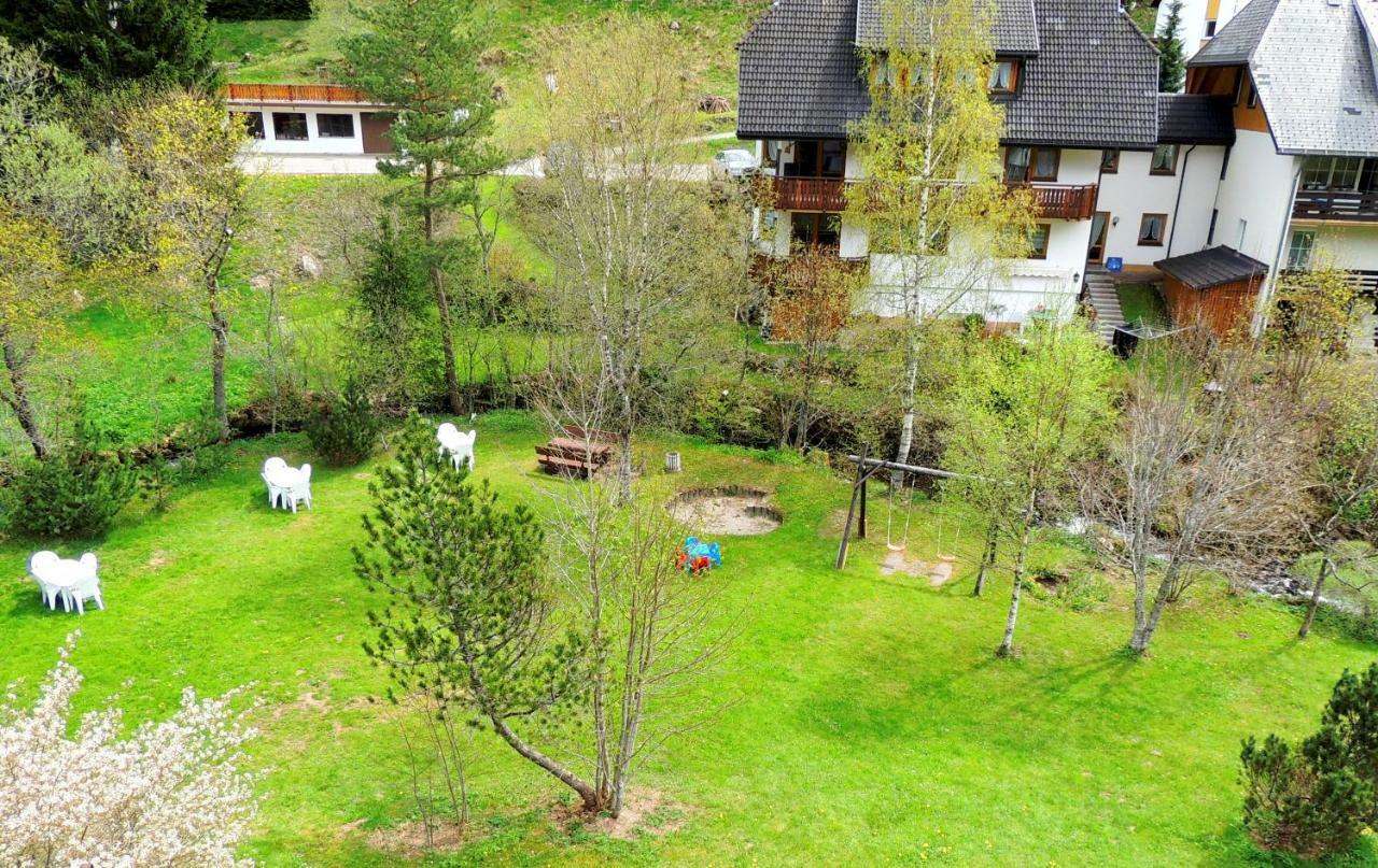 C2 Albmatte-Fewo , Hallenbad Aussenbecken Massagen Nebenan Sankt Blasien Exteriör bild