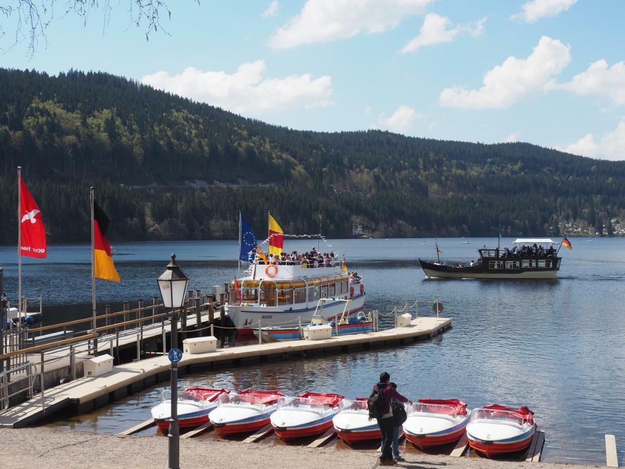 C2 Albmatte-Fewo , Hallenbad Aussenbecken Massagen Nebenan Sankt Blasien Exteriör bild