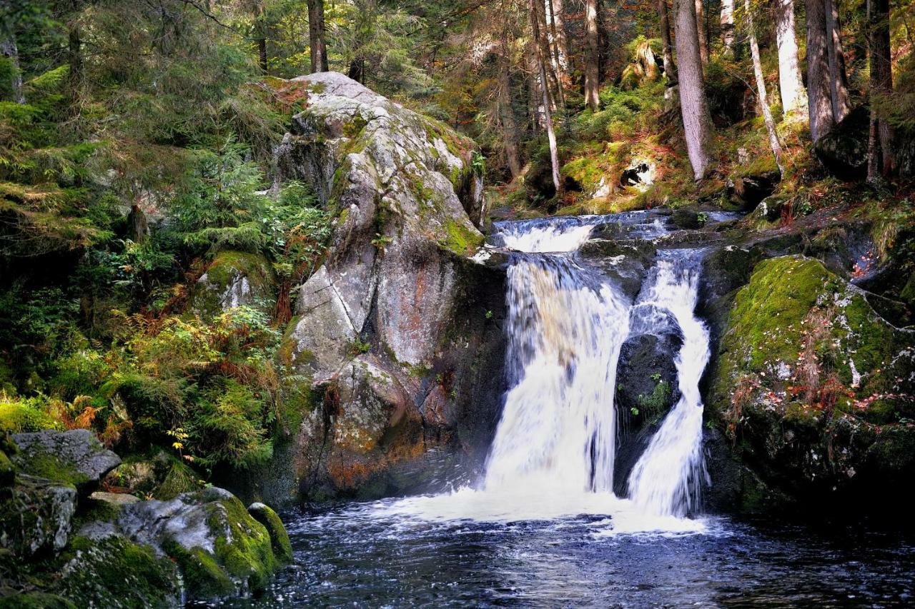 C2 Albmatte-Fewo , Hallenbad Aussenbecken Massagen Nebenan Sankt Blasien Exteriör bild
